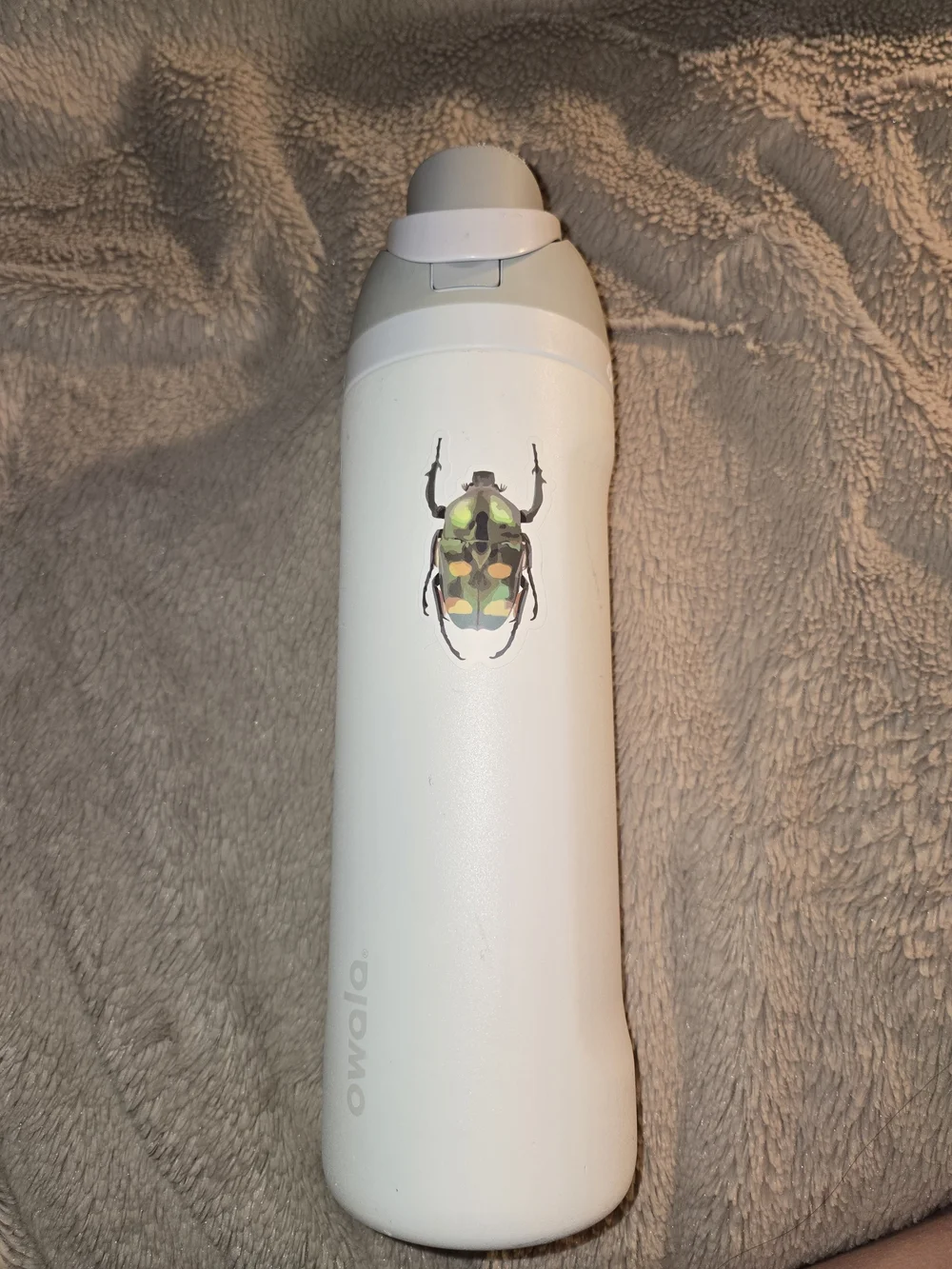Owala White 24oz Stainless Water Bottle